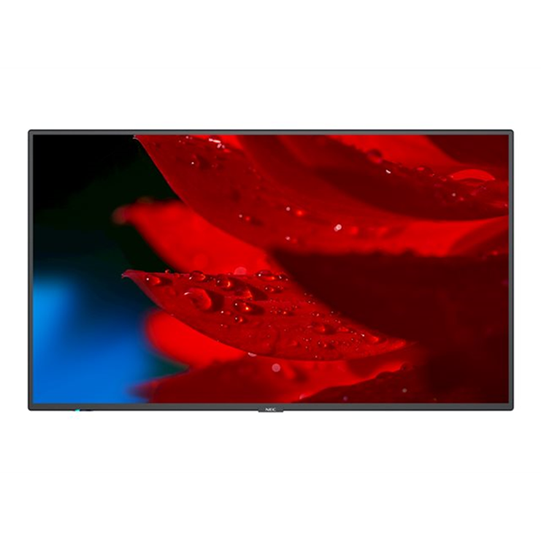 NEC MultiSync MA491