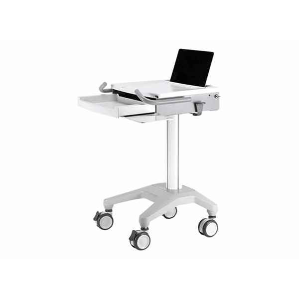 NewStar Mobile Laptop Cart 10-22"