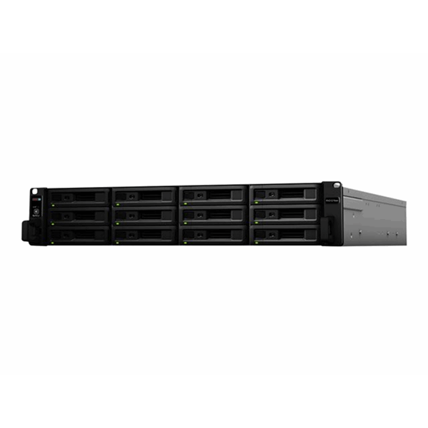 RXD1219sas 12 bay NAS expansion unit